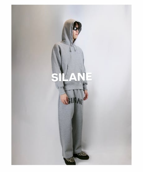 SILANE original set up