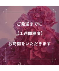 【注意事項】ご購入前に、必ずご確認ください。