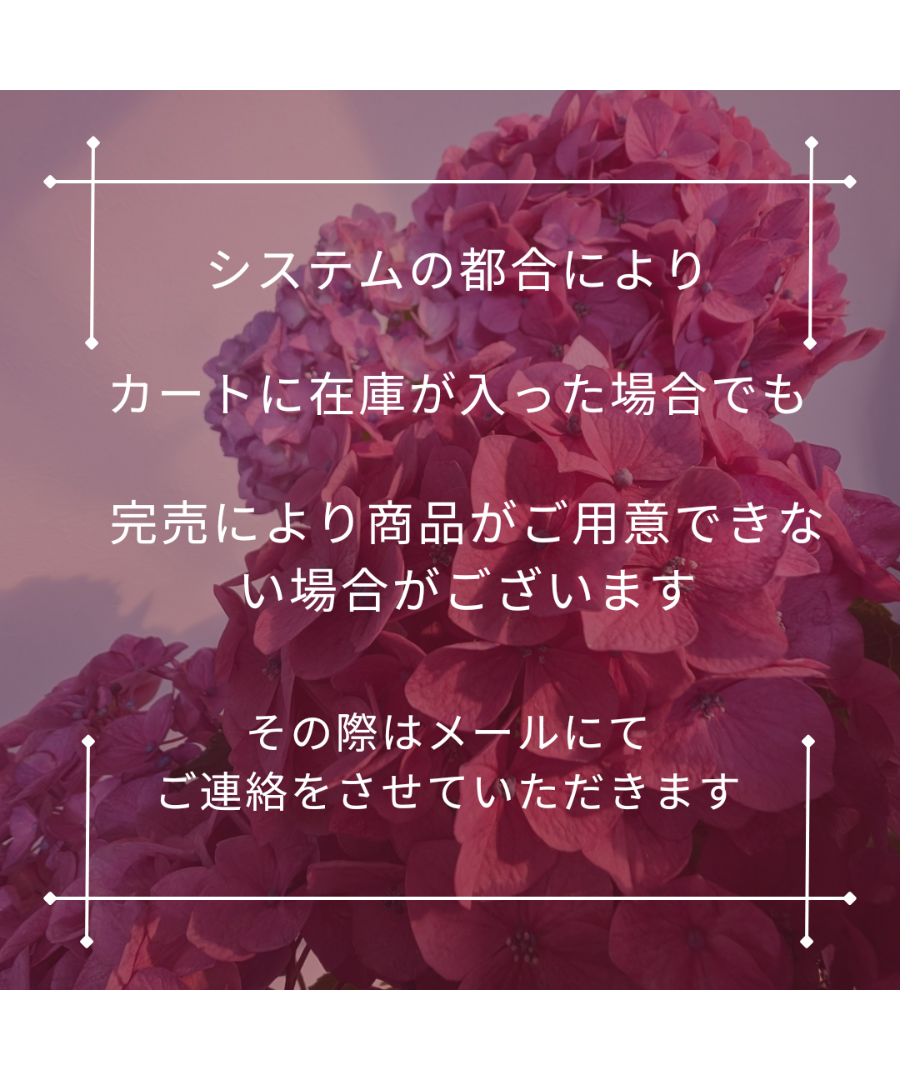 アリエル在庫確認の為購入前コメント下さい　購入しないでください。 注意事項】ご購入前に、必ずご確認ください。 | 遊 by jalanjalan