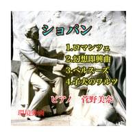 DVD　環境動画映像DVD 「ショパン編」