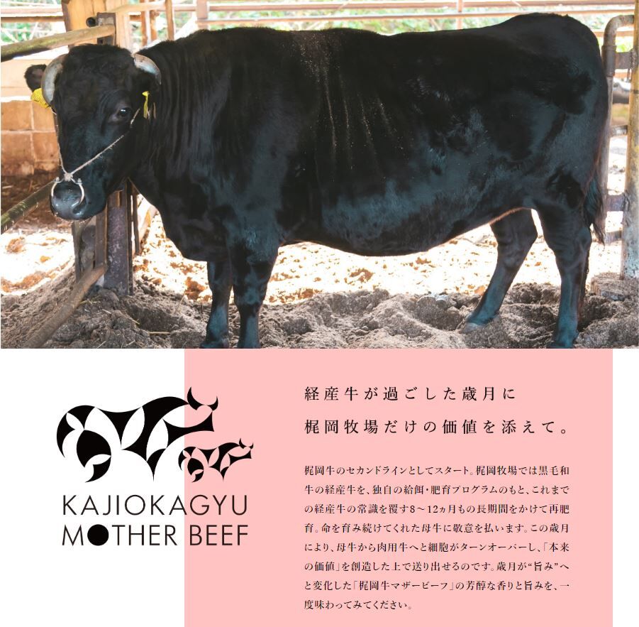 梶岡牛マザービーフ】肩ローススライス400g×1 | kajiokagyu