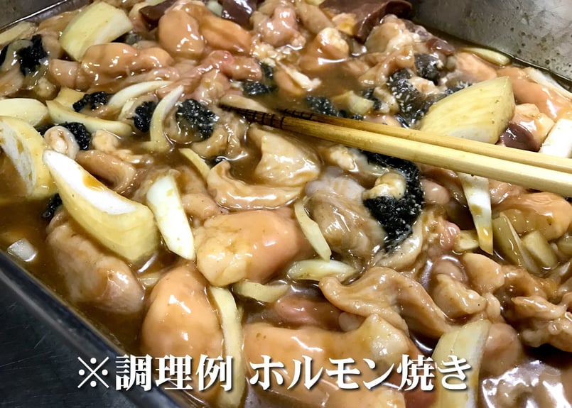 梶岡牛】ホルモン・ミックス 500g真空パック | kajiokagyu