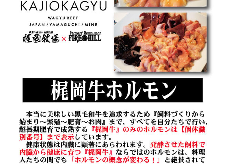 梶岡牛】ホルモン・ミックス 500g真空パック | kajiokagyu