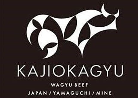 【梶岡牛】サーロインステーキ  2枚セット（約260ｇ×2枚）送料込