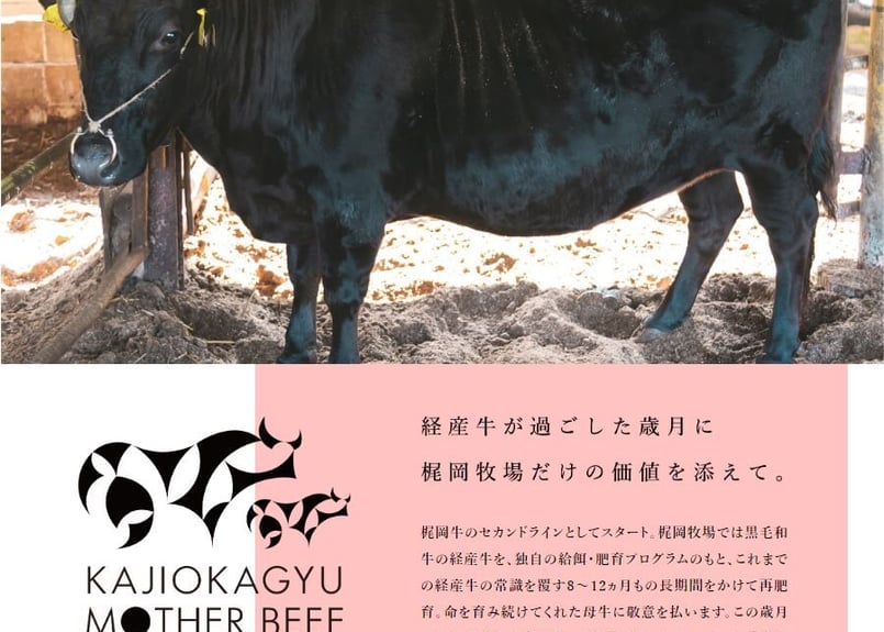 梶岡牛マザービーフ】肩ローススライス、肩ロース焼肉セット | kajiokagyu