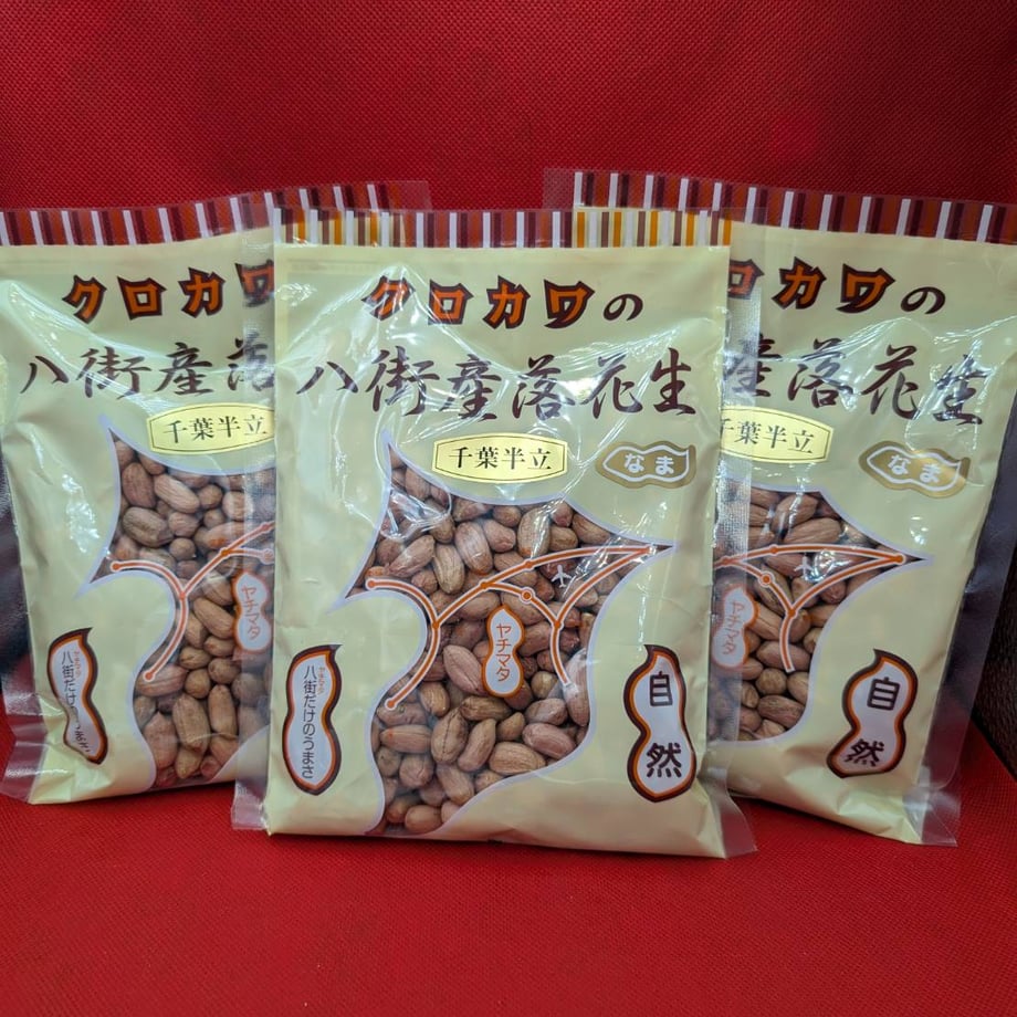 67bbfb9ab0a3028d5b73ffa4