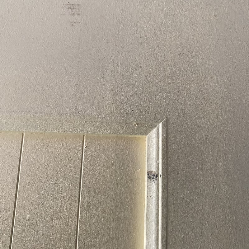 開き戸ベージュ インテリアにも