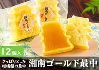 小田原城最中（湘南ゴールド餡）詰合せ 12個入