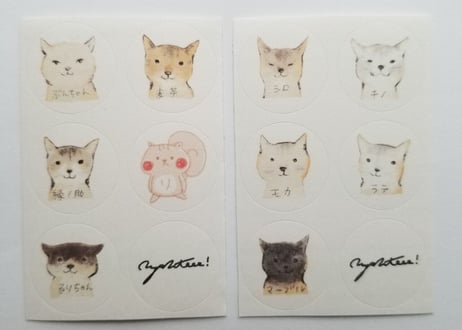 🆕【セット販売】にゃんとシール