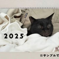 【工場直送】A3壁掛けにゃんとカレンダー2025
