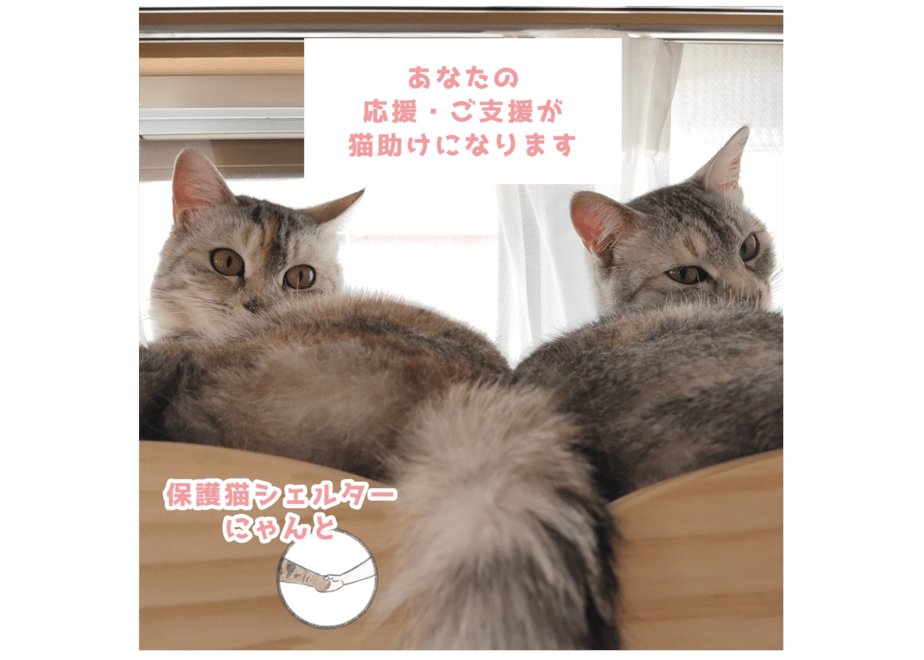 64d746ace6335d004c0851a0