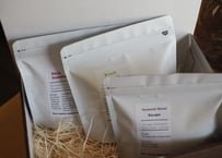 SILKのコーヒーギフト100g×３袋セット箱入り