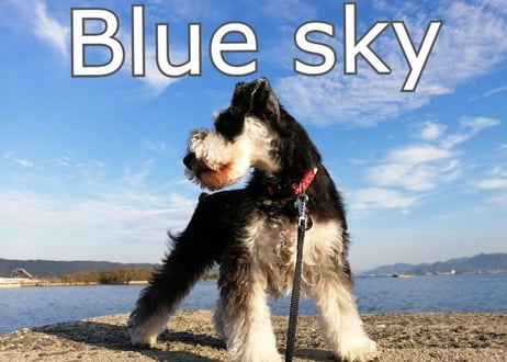 季節のブレンドコーヒー「 Blue sky 」１００ｇ