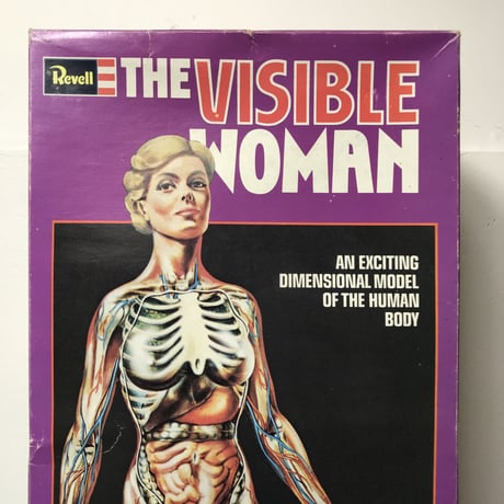 70's THE VISIBLE WOMAN［10343］