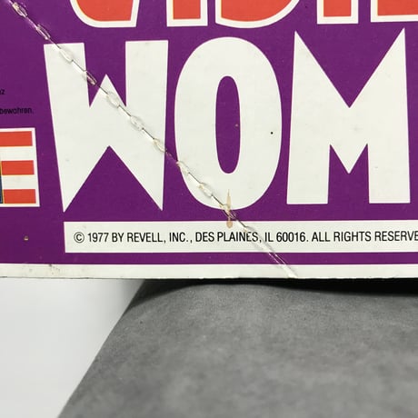 70's THE VISIBLE WOMAN［10343］