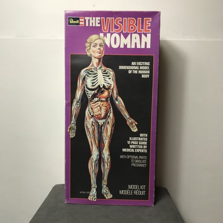 70's THE VISIBLE WOMAN［10343］