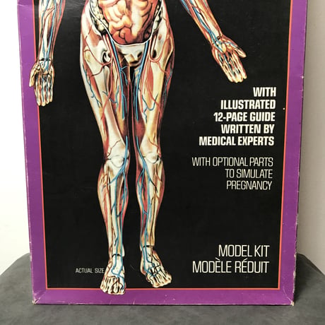 70's THE VISIBLE WOMAN［10343］