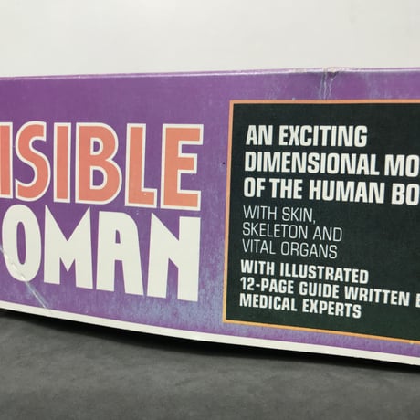 70's THE VISIBLE WOMAN［10343］