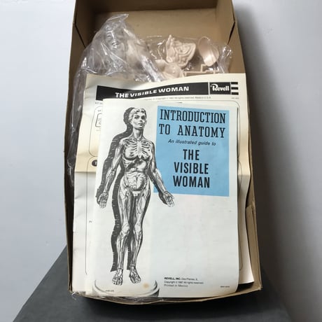 70's THE VISIBLE WOMAN［10343］