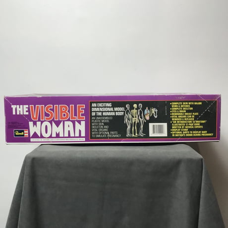 70's THE VISIBLE WOMAN［10343］
