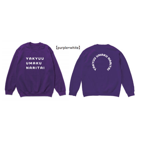 【新商品】野球うまくなりたいトレーナー