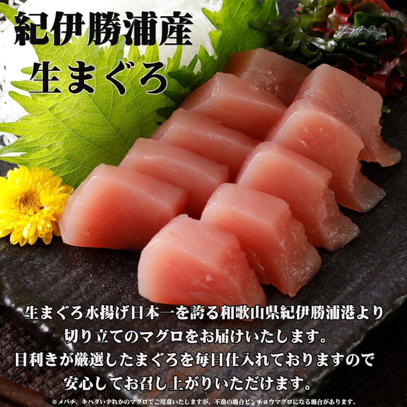 お刺身短冊8種セット | 水谷水産