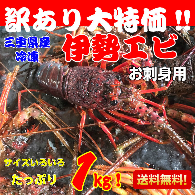 ☆奄美産☆ 活〆冷凍伊勢海老5キロ - 魚介