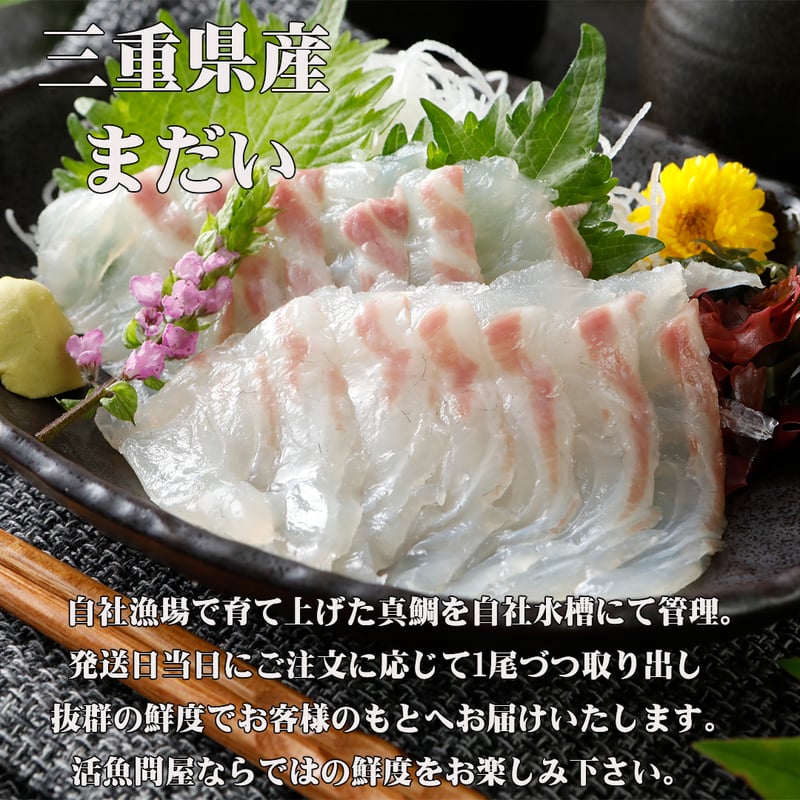 お刺身短冊8種セット | 水谷水産