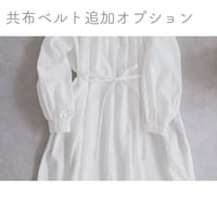 option:共布ベルト追加