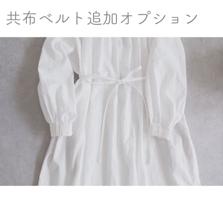 option:共布ベルト追加
