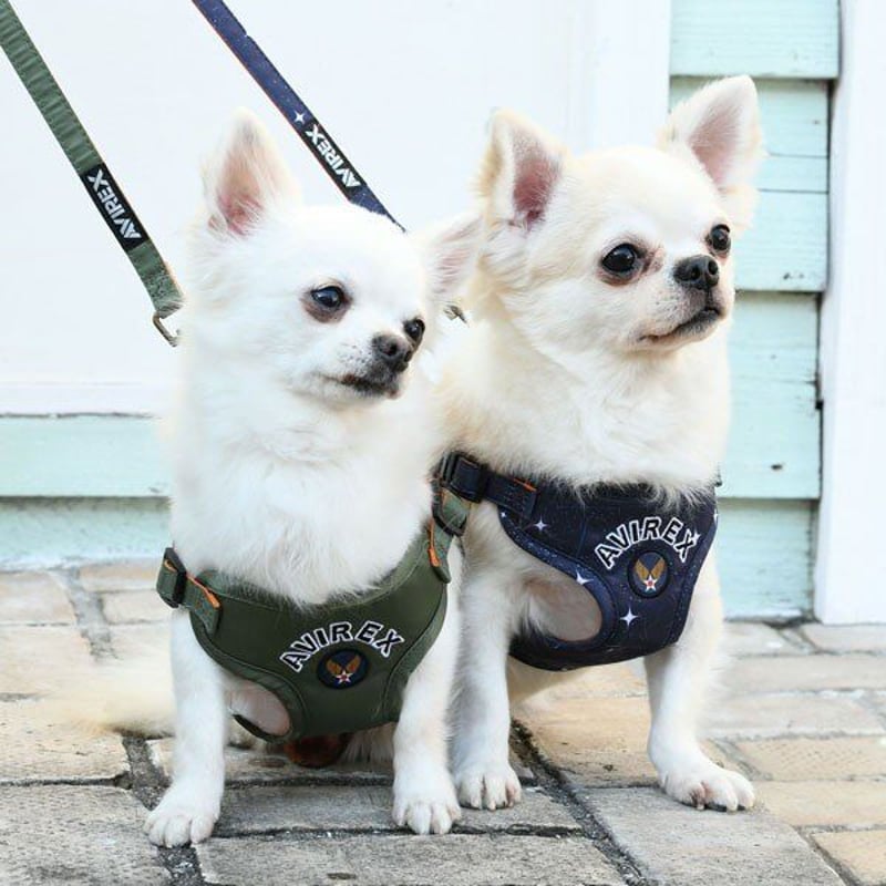 即納】AVIREX(アヴィレックス)ハーネス 胴輪 | un seul dog's 即納】AVIREX(アヴィレックス)ハーネス 胴輪 | un seul dog's