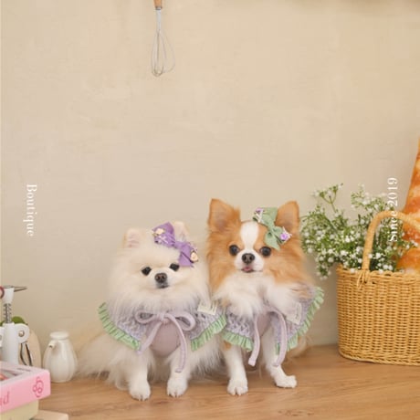 【予約】Raffine Mong ... Le Petit Cape Set