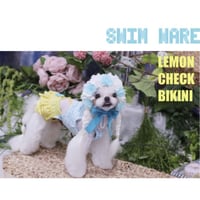 【予約】HAPPYJJANGGU♪ light blue stripe Bikini