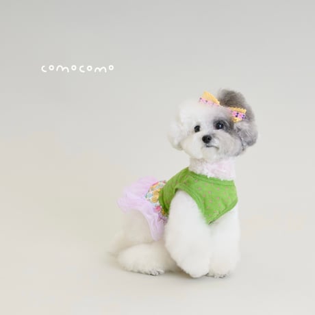 【予約】comocomo...CUP CAKE GREEN
