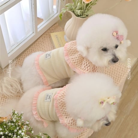 【予約】Raffine Mong ... Le Petit Cape Set