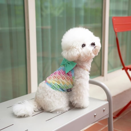 【予約】Coco Chien...Jenna Ribbon Swimwear