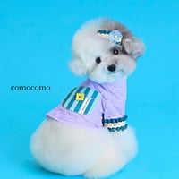 【予約】comocomo...porket boogie