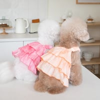 【即納】furifuri tiered one-piece