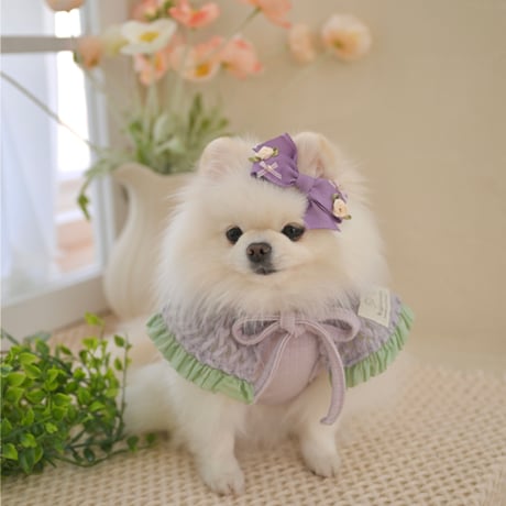 【予約】Raffine Mong ... Le Petit Cape Set