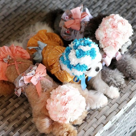 【予約】HAPPYJJANGGU ♪ flower cap♡ 13color
