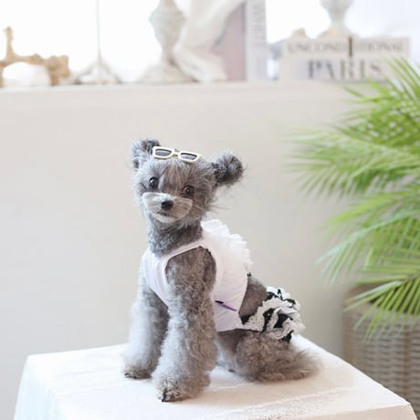 【予約】HAPPYJJANGGU♪Black Dot Frill  Bikini