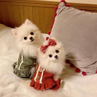 【即納】Tani.Wina♡コーデュロイセットアップ