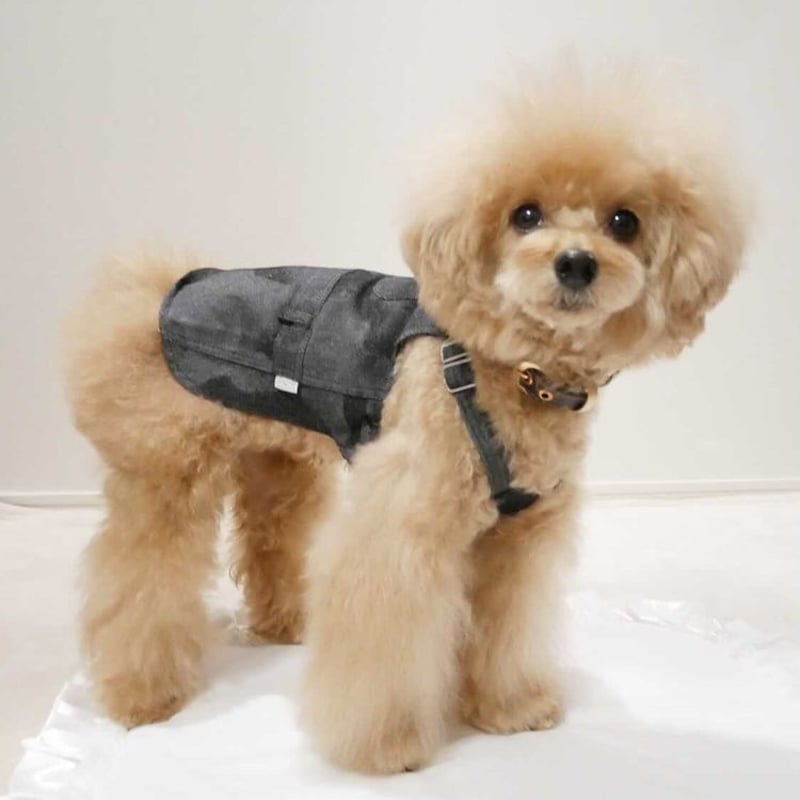 犬服サロペットワンピース見本 即納】Blue Time  ワンピース/サロペット | un seul dog's S