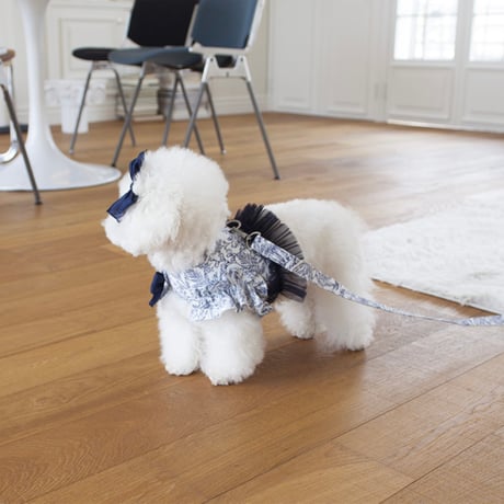 【即納】Coco Chien...Plank harness(リード付き)