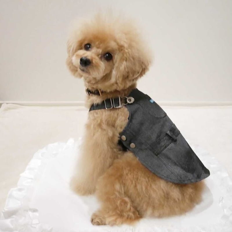 犬服サロペットワンピース見本 即納】Blue Time  ワンピース/サロペット | un seul dog's S