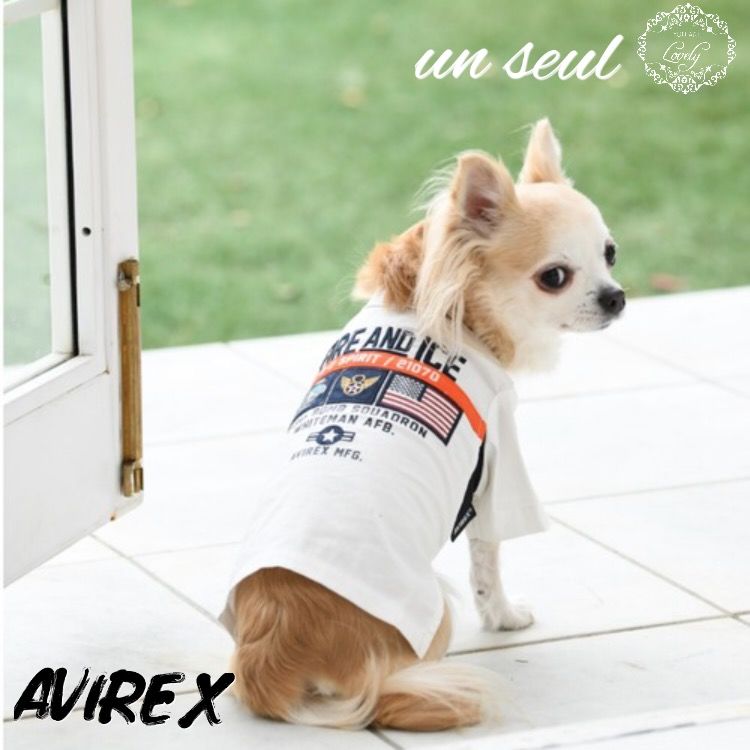 おーちゃん様ご確認ページ　AVIREX ロゴ刺繍 犬服 ホワイト/ブラック original