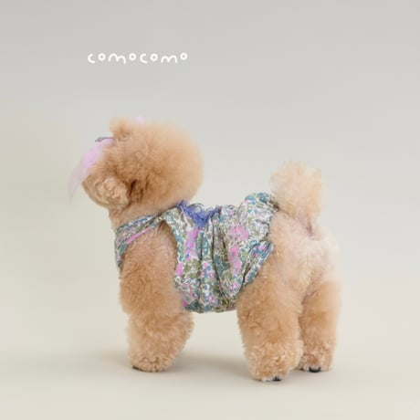 【予約】comocomo...BAM BOO
