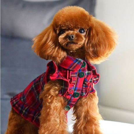 タータンチェック犬服 | STORES