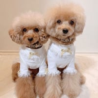 【即納】K&Z お上品な長袖トップス♡