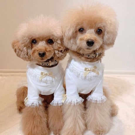 【即納】K&Z お上品な長袖トップス♡